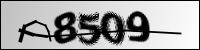 capcha