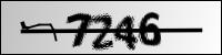 capcha