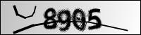 capcha